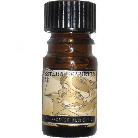 Western Bonneted Bat