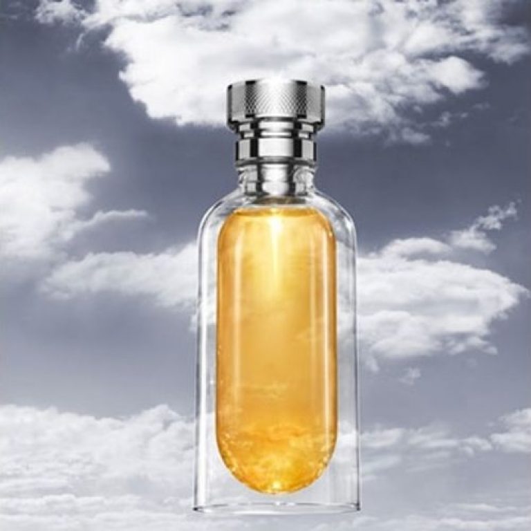 Cartier – L’ENVOL